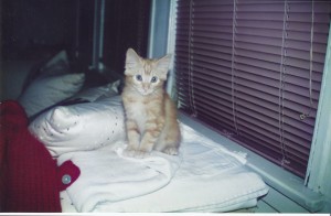 Major Cuteness